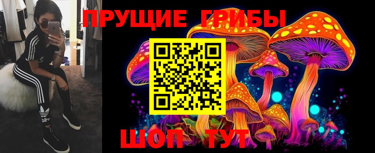 Псилоцибиновые грибы Psilocybine cubensis  купить  цена  Гусиноозёрск  Вход с VPN 